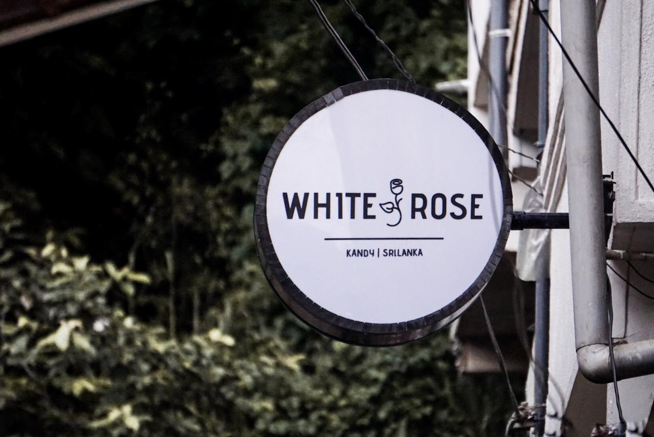 White Rose Hostel Kandy Esterno foto